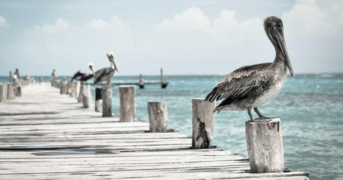 How to Set Up a WireGuard VPN Server on Your Homelab