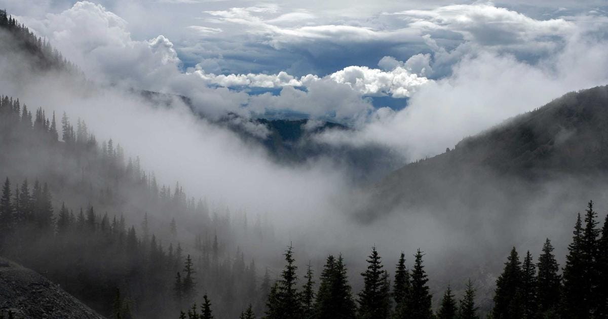 pfSense vs OPNsense: Open-Source Firewall for Homelab