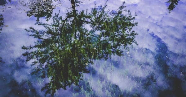 Home Assistant on Proxmox: Complete Setup Guide