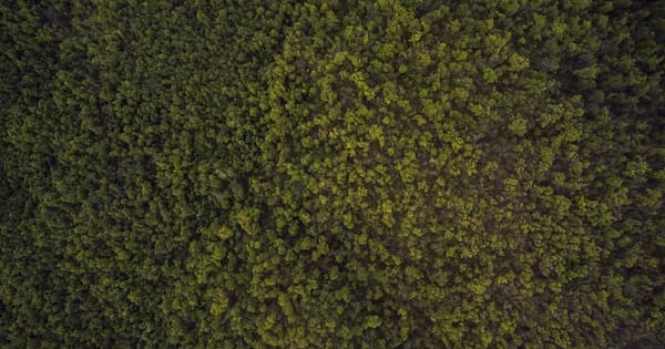 MinIO: S3-Compatible Object Storage for Your Homelab