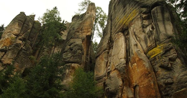 The Homelab WAF: Building a Family-Friendly Homelab