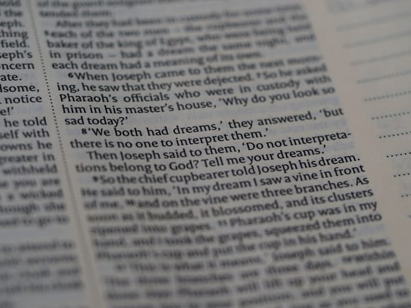 Common Self-Hosted Mistakes and How to Avoid Them